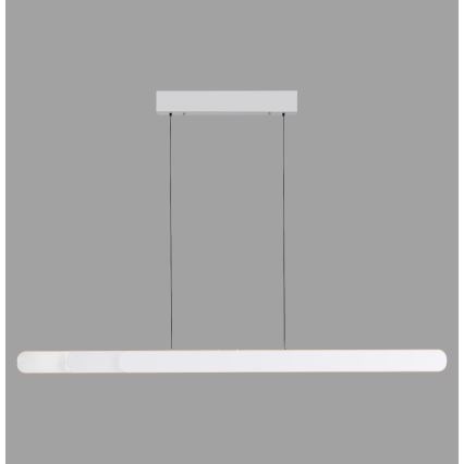 Schöner Wohnen 12577-16 - LED-dimbare hanglamp aan kabel ADRIANA ROUND 2xLED/24W/230V 2700/3000/3500/4000/5000K 160 cm wit