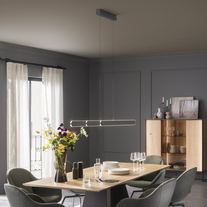 Schöner Wohnen 12577-18 - Dimbare LED-hanglamp met kabel ADRIANA ROUND 2xLED/24W/230V 2700/3000/3500/4000/5000K zwart