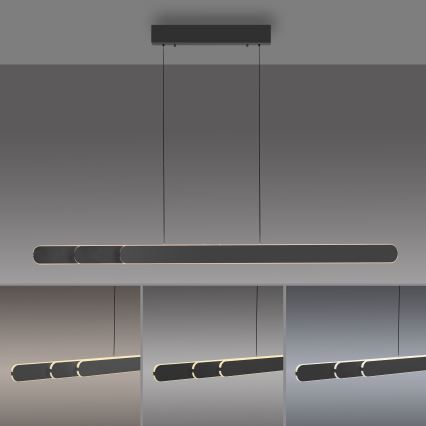 Schöner Wohnen 12577-18 - Dimbare LED-hanglamp met kabel ADRIANA ROUND 2xLED/24W/230V 2700/3000/3500/4000/5000K zwart