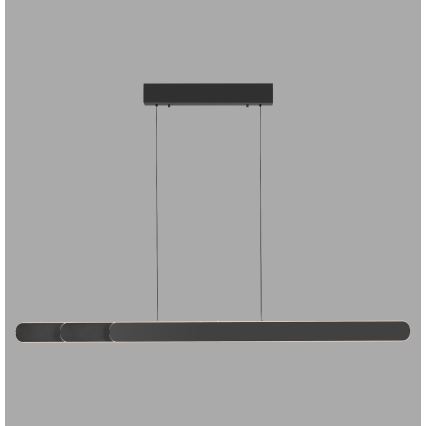 Schöner Wohnen 12577-18 - LED-dimbare hanglamp aan kabel ADRIANA ROUND 2xLED/24W/230V 2700/3000/3500/4000/5000K 160 cm zwart