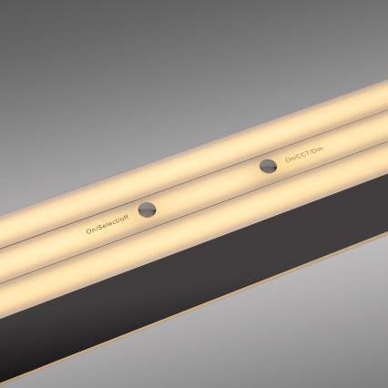 Schöner Wohnen 12577-18 - LED-dimbare hanglamp aan kabel ADRIANA ROUND 2xLED/24W/230V 2700/3000/3500/4000/5000K 160 cm zwart