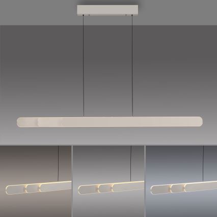 Schöner Wohnen 12577-39 - Dimbare LED-hanglamp met kabel ADRIANA ROUND 2xLED/24W/230V 2700/3000/3500/4000/5000K grijs