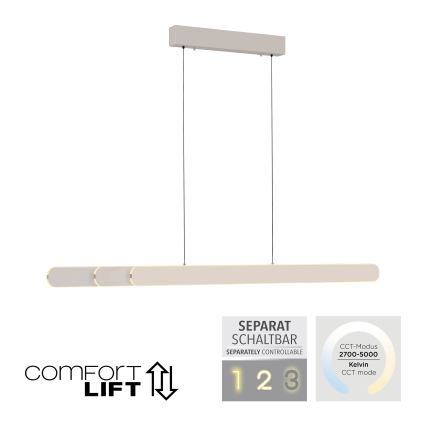 Schöner Wohnen 12577-39 - Dimbare LED-hanglamp met kabel ADRIANA ROUND 2xLED/24W/230V 2700/3000/3500/4000/5000K grijs