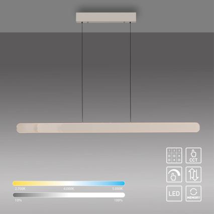 Schöner Wohnen 12577-39 - Dimbare LED-hanglamp aan kabel ADRIANA ROUND 2xLED/24W/230V 2700/3000/3500/4000/5000K 160 cm grijs