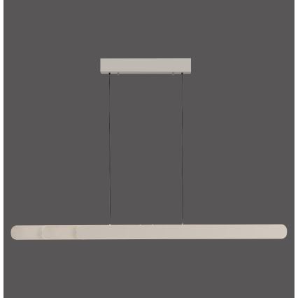 Schöner Wohnen 12577-39 - Dimbare LED-hanglamp aan kabel ADRIANA ROUND 2xLED/24W/230V 2700/3000/3500/4000/5000K 160 cm grijs