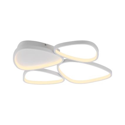 Schöner Wohnen 14038-16 - dimbare LED-plafondlamp PEBBLES LED/35,5W/230V wit