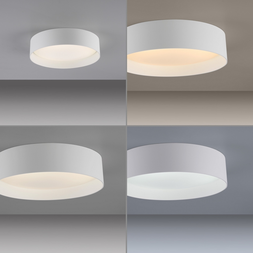 Schöner Wohnen 14593-16 - Dimbare LED-plafondlamp TAVOLI LED/10W/230V 2700-6500K Ø 28,5 cm wit + afstandsbediening