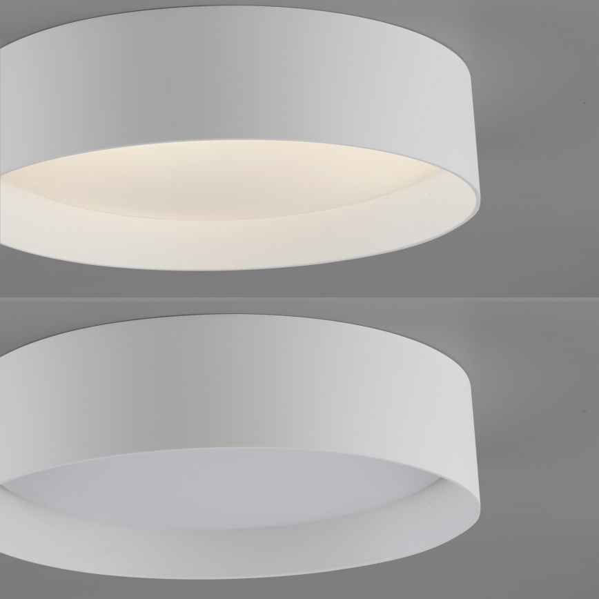 Schöner Wohnen 14593-16 - Dimbare LED-plafondlamp TAVOLI LED/10W/230V 2700-6500K Ø 28,5 cm wit + afstandsbediening