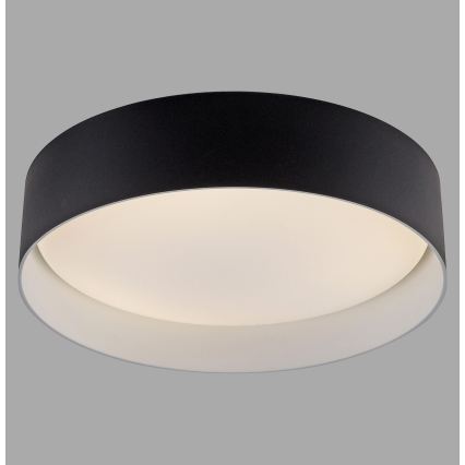 Schöner Wohnen 14593-18 - LED-dimbare plafondlamp TAVOLI LED/10W/230V 2700-6500K Ø 28,5 cm zwart + afstandsbediening