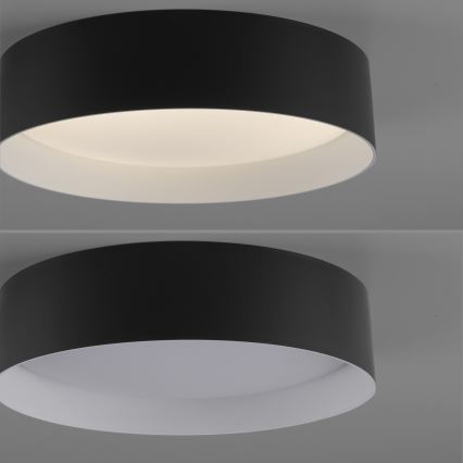 Schöner Wohnen 14593-18 - LED-dimbare plafondlamp TAVOLI LED/10W/230V 2700-6500K Ø 28,5 cm zwart + afstandsbediening