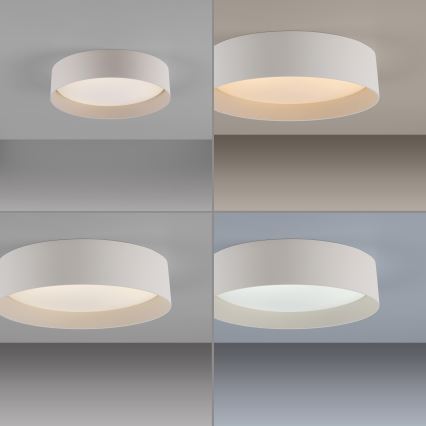 Schöner Wohnen 14593-39 - LED dimbare plafondlamp TAVOLI LED/10W/230V 2700-6500K Ø 28,5 cm grijs + afstandsbediening