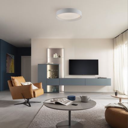 Schöner Wohnen 14594-16 - LED-dimbare plafondlamp TAVOLI LED/20W/230V 2700-6500K Ø 39 cm wit + afstandsbediening