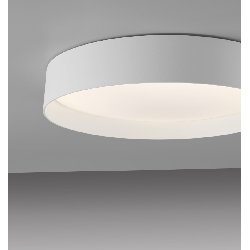 Schöner Wohnen 14594-16 - LED-dimbare plafondlamp TAVOLI LED/20W/230V 2700-6500K Ø 39 cm wit + afstandsbediening