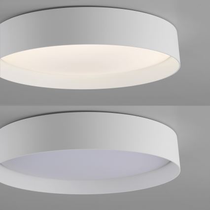 Schöner Wohnen 14594-16 - LED-dimbare plafondlamp TAVOLI LED/20W/230V 2700-6500K Ø 39 cm wit + afstandsbediening