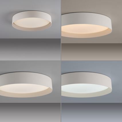 Schöner Wohnen 14594-39 - Dimbare LED-plafondlamp TAVOLI LED/20W/230V 2700-6500K Ø 39 cm grijs + afstandsbediening