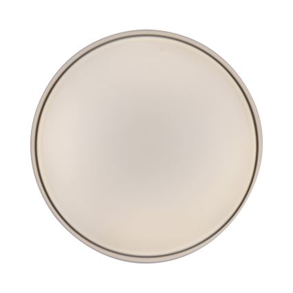 Schöner Wohnen 14594-39 - Dimbare LED-plafondlamp TAVOLI LED/20W/230V 2700-6500K Ø 39 cm grijs + afstandsbediening