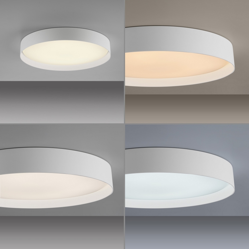 Schöner Wohnen 14595-16 - Dimbare LED-plafondlamp TAVOLI LED/34W/230V 2700-6500K Ø 49 cm wit + afstandsbediening