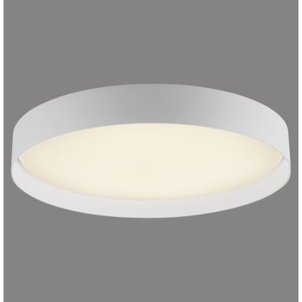 Schöner Wohnen 14595-16 - Dimbare LED-plafondlamp TAVOLI LED/34W/230V 2700-6500K Ø 49 cm wit + afstandsbediening