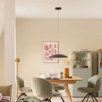 Schöner Wohnen 14606-18 - Dimbare LED-hanglamp aan kabel LENTE LED/17W/230V Ø 40 cm zwart