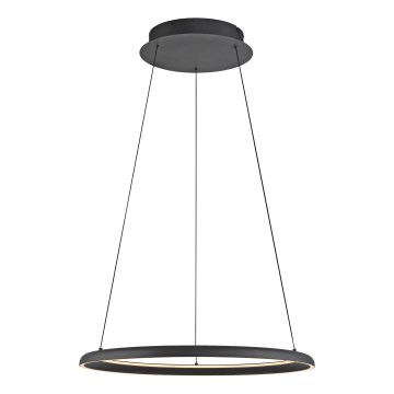 Schöner Wohnen 15570-18 - Dimbare LED-pendellamp aan kabel QUILLO LED/36W/230V Ø 60 cm zwart