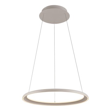 Schöner Wohnen 15570-39 - Dimbare LED-hanglamp aan kabel QUILLO LED/36W/230V, diameter 60 cm, grijs
