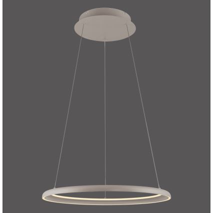 Schöner Wohnen 15570-39 - Dimbare LED-hanglamp aan kabel QUILLO LED/36W/230V, diameter 60 cm, grijs