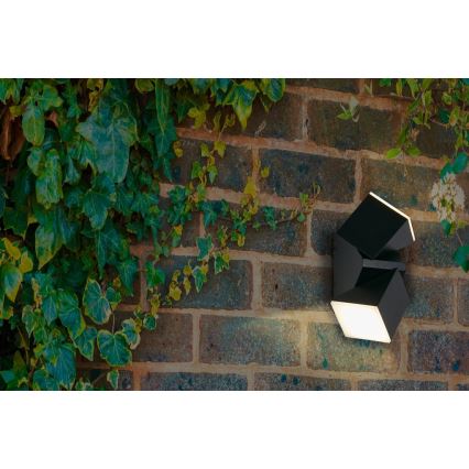 Searchlight - LED buitenwandlamp MONTANA 2xLED/6W/230V IP44