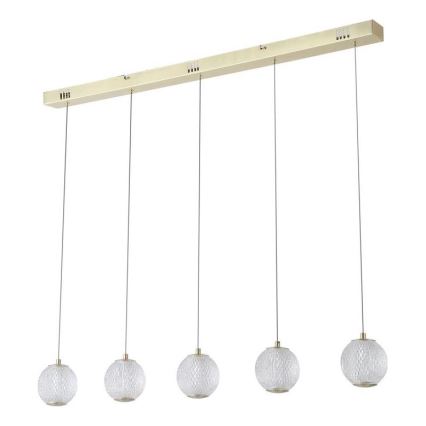 Searchlight - LED-hanglamp aan kabel ALLURE 5xLED/4,2W/230V