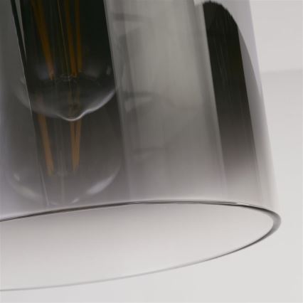 Searchlight - Plafondlamp SWEDEN 1xE27/60W/230V Ø 22 cm zwart/rookglas