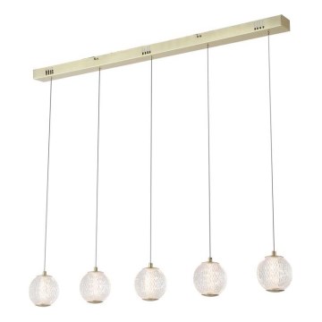 Searchlight - LED-hanglamp aan kabel ALLURE 5xLED/4,2W/230V