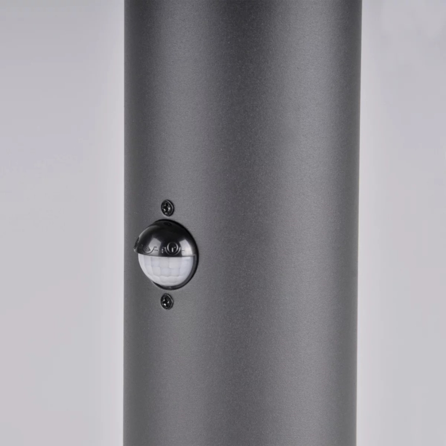 Sensorlamp voor buiten DALLAS 1xE27/12W/230V IP44 grafiet