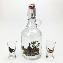 Set 1x glas bottle en 2x shotglas doorzichtig