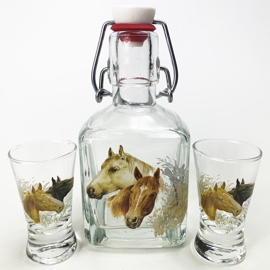 Set 1x glas fles en 2x shotglas doorzichtig met paardenmotief