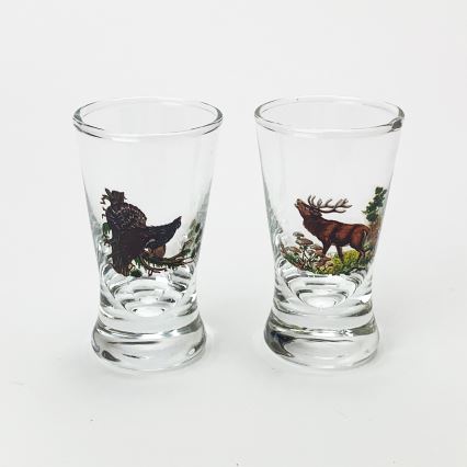 Set 1x glas bottle en 2x shotglas doorzichtig