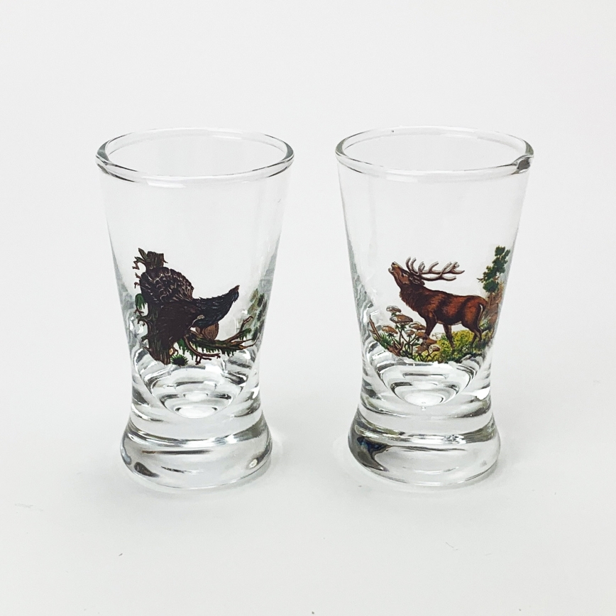 Set 1x glas bottle en 2x shotglas doorzichtig