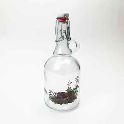 Set 1x glas bottle en 2x shotglas doorzichtig