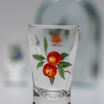 Set 1x glazen fles en 2x shotglas doorzichtig met een abrikozenmotief