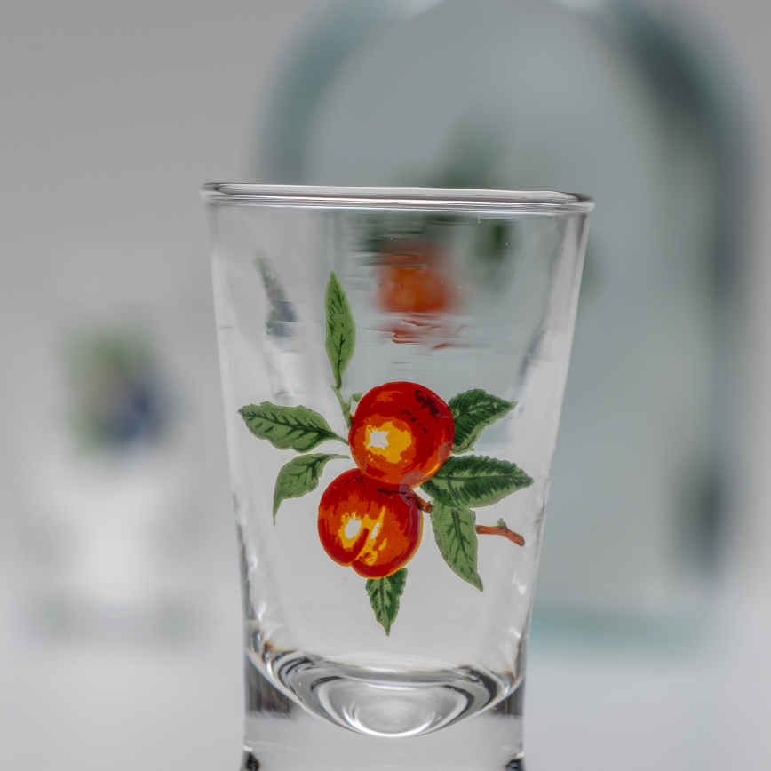 Set 1x glazen fles en 2x shotglas doorzichtig met een abrikozenmotief