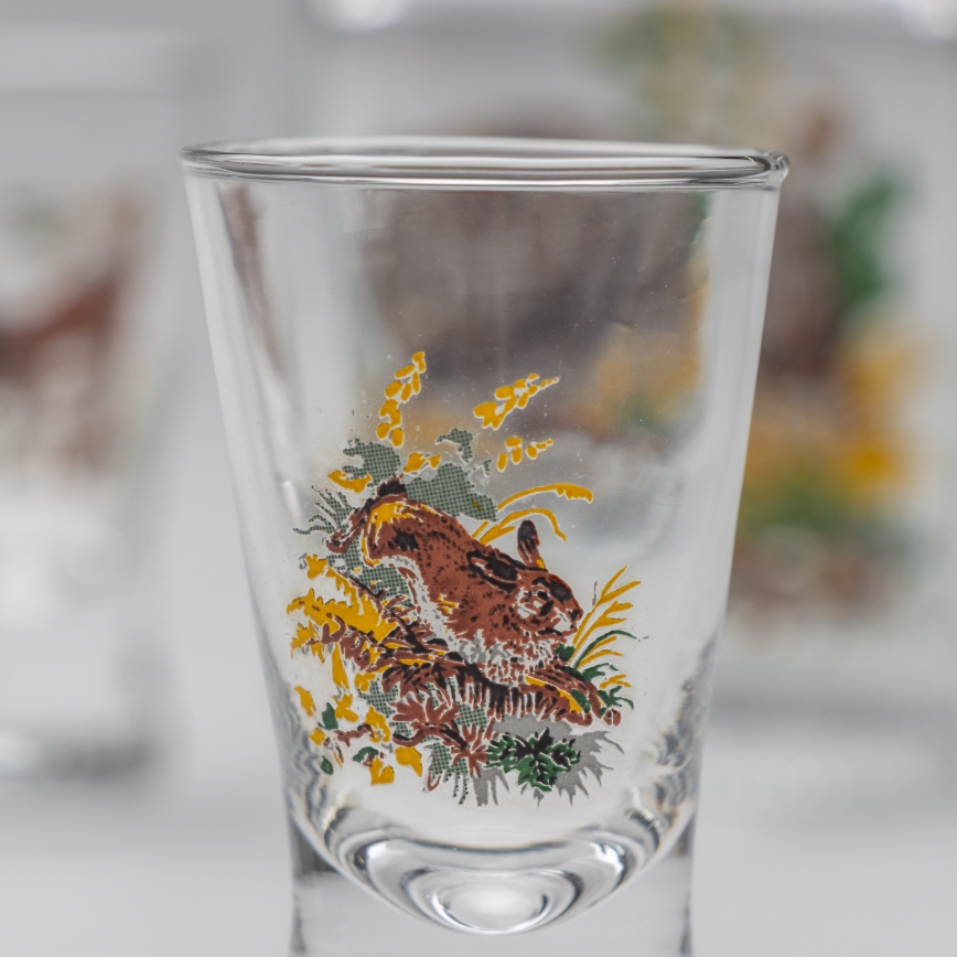 Set 1x glazen fles en 2x shotglas doorzichtig met een wild zwijnmotief