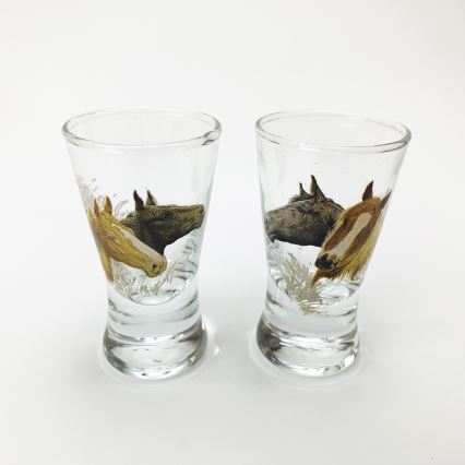 Set 1x glas bottle in tonvorm en 2x shotglas doorzichtig met paardenmotief