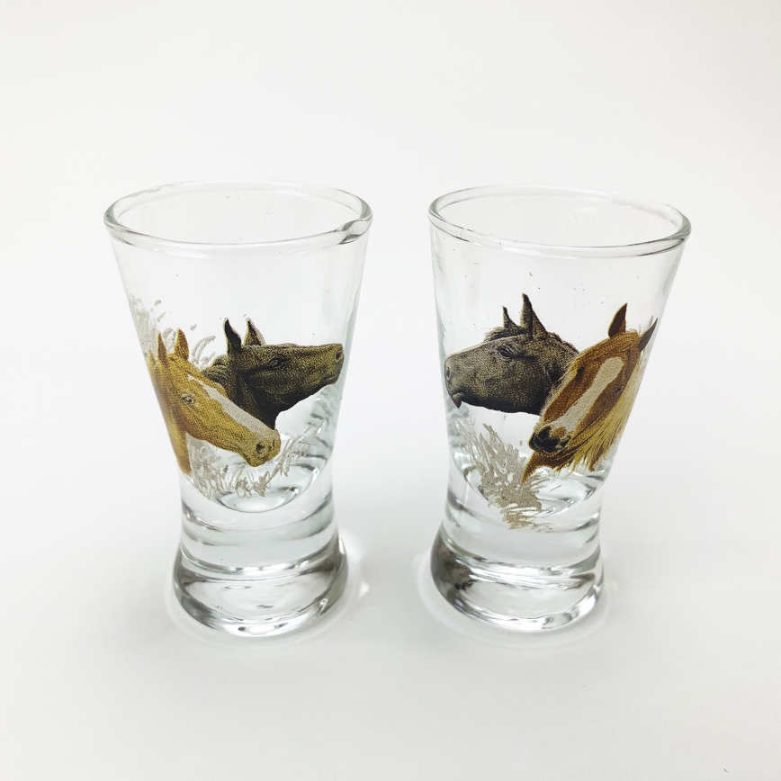 Set 1x glas bottle in tonvorm en 2x shotglas doorzichtig met paardenmotief