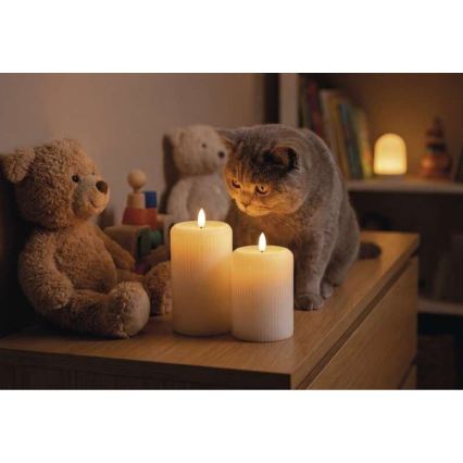SET 2x LED-kaarsen LED/4xAA + afstandsbediening