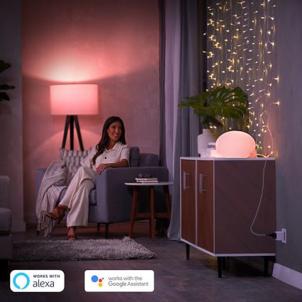 SET 2x Slim stopcontact Philips Hue Smart plug