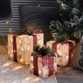 SET 3x LED kerstcadeau 48xLED/3,6W/230V IP44 warm wit