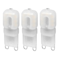 SET 3x LED Lamp ECOLINE G9/2,5W/230V 3000K - Brilagi