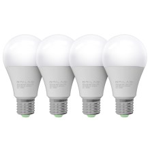 SET 4x LED Lamp ECOLINE A65 E27/15W/230V 4000K - Brilagi