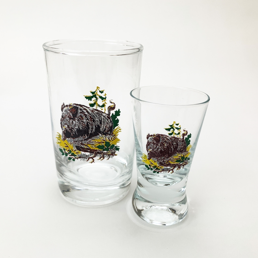 Set 6x groter glas en 6x shotglaasje doorzichtig met dierenmotieven