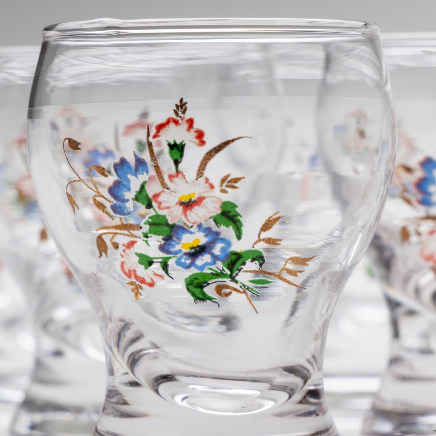 Set 6x likeur glas doorzichtig - bloemenpatroon nr. 3