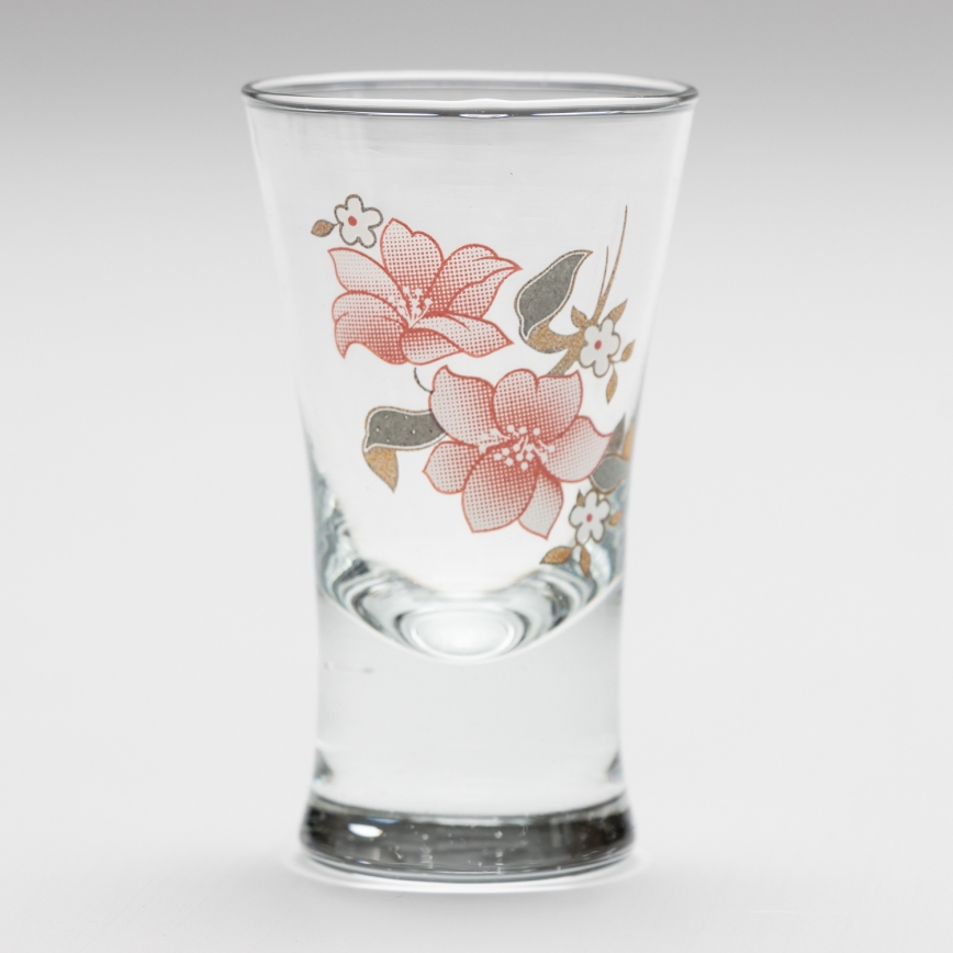 Set 6x likeur glas met een boeketmotief nr. 2