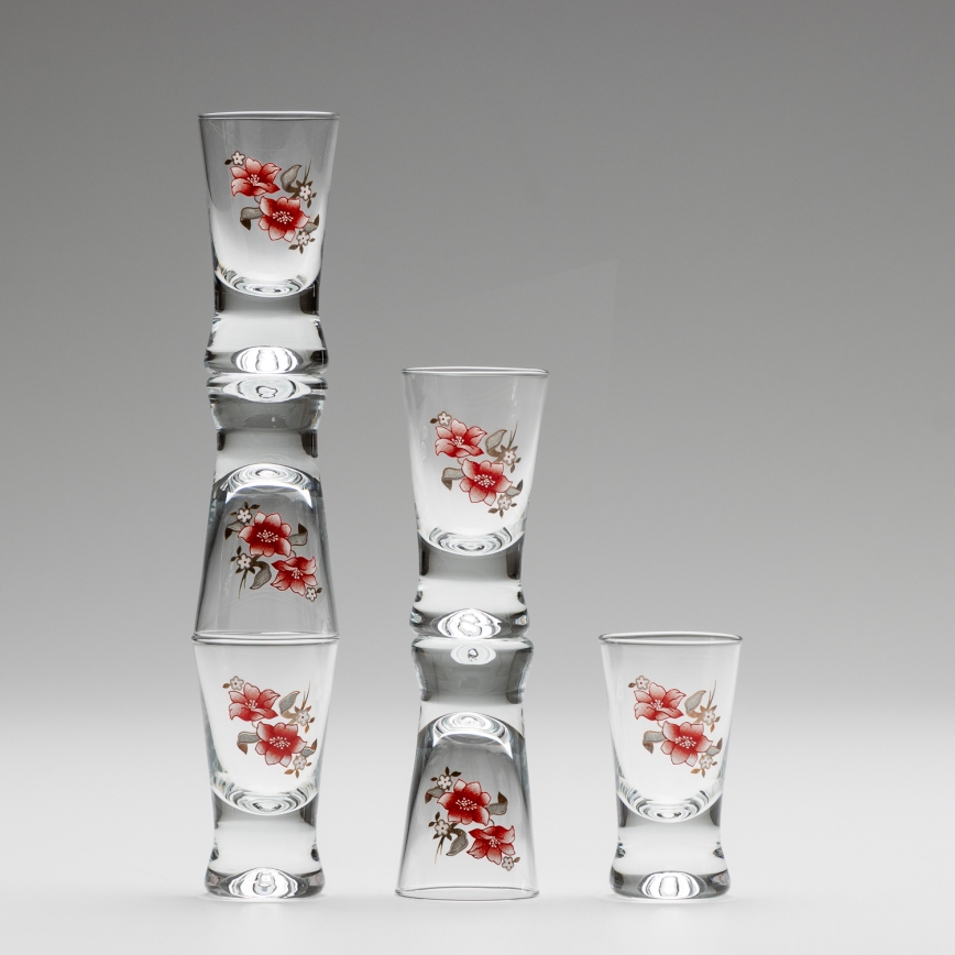 Set 6x shotglas doorzichtig met een boeketmotief nr. 2